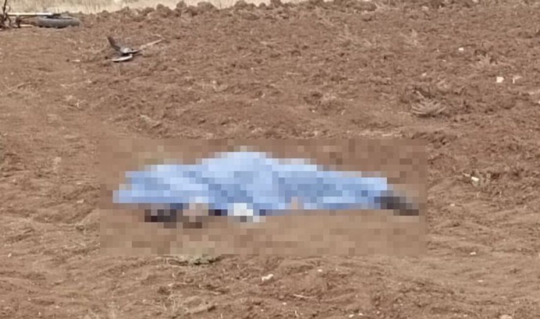 Mardin’in Nusaybin ilçesinde meydana gelen motosiklet kazasında 28 yaşındaki Piyade