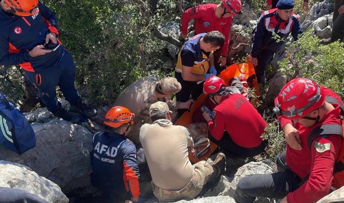 Antalya Serik Hasdümen’de hayvan otlatırken kaybolan yaşlı kadın, AFAD ve