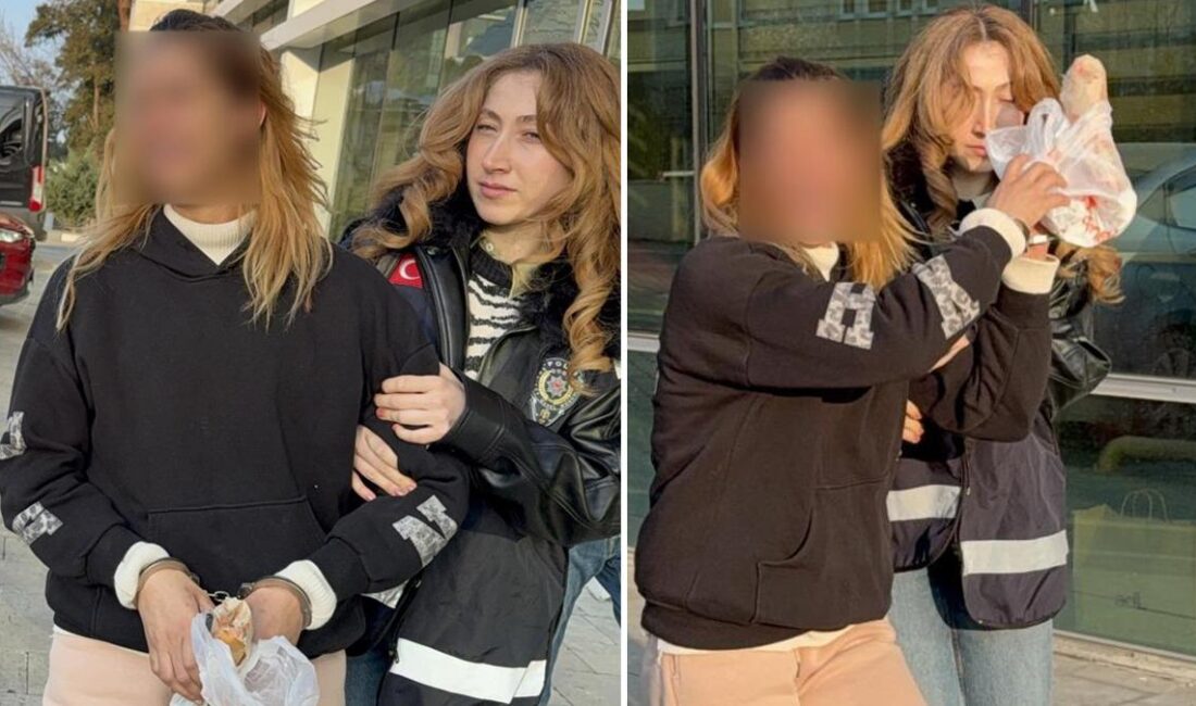 Hırsızlık suçundan onlarca yıl cezası bulunan kadının sürekli çocuk doğurarak