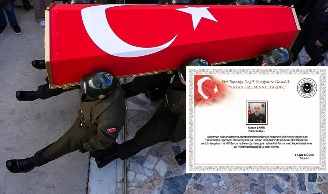 MSB duyurdu: Fırat Kalkanı Harekat Bölgesi'nde görev yapan kahraman silah