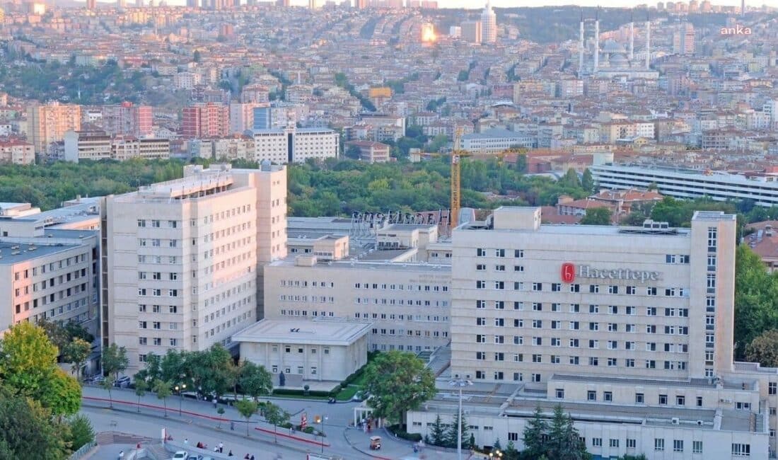Hacettepe Üniversitesi emekli öğretim üyesi Prof. Dr. Meral Özgüç vefat